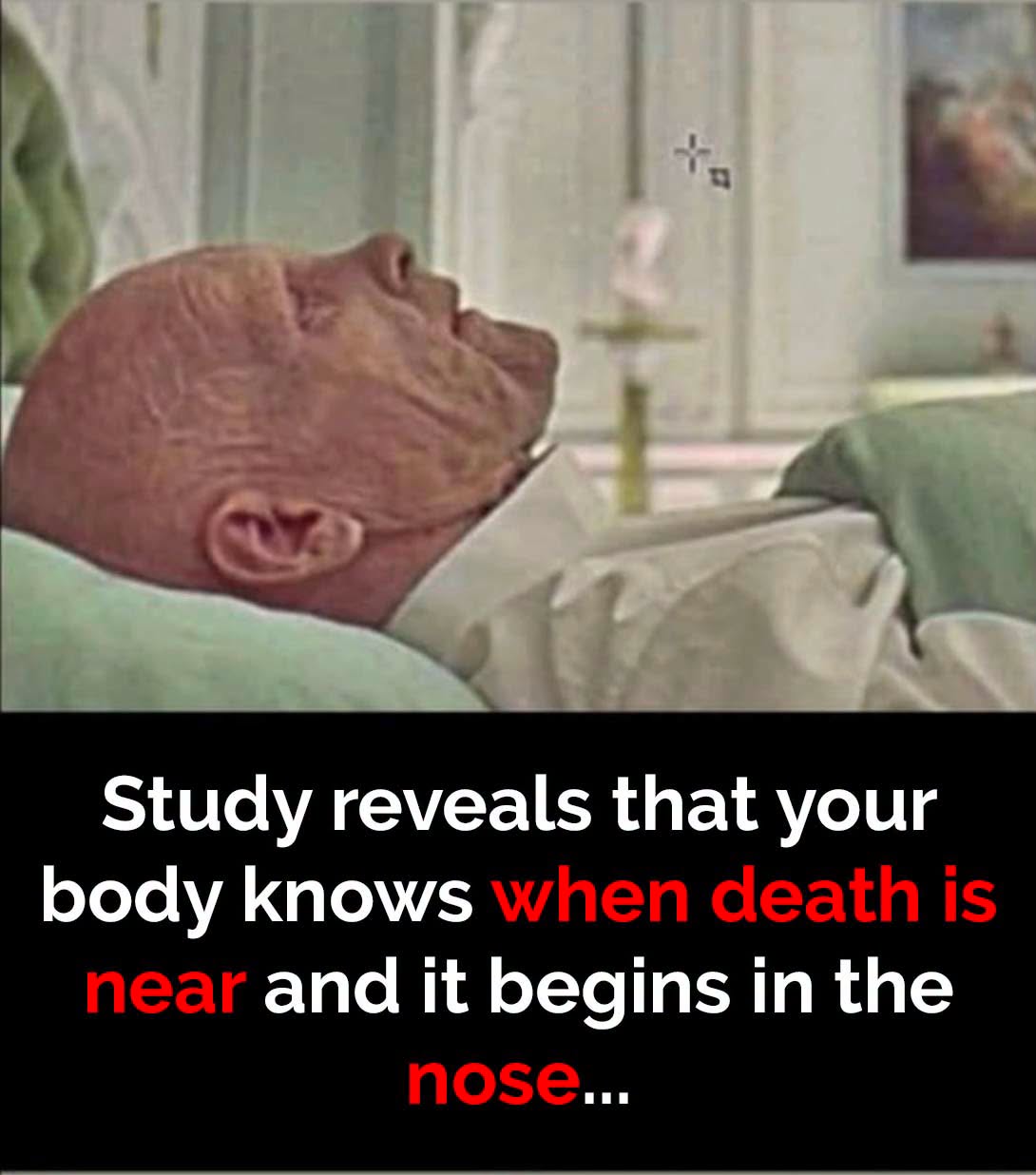 Research shows body senses death is near – starts in this body part
