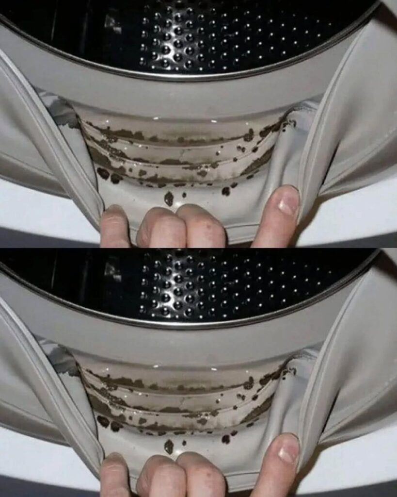 7 Mistakes Everyone Makes with Their Washing Machine