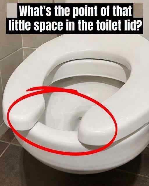 I Had No Idea That Little Space In The Toilet Lid Actually Means… See more