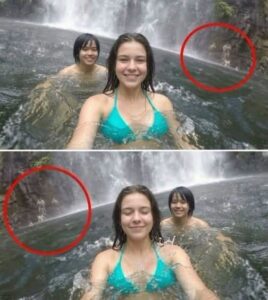 The Hidden Truth Behind Ordinary Images That Most Observers Completely Fail to Notice