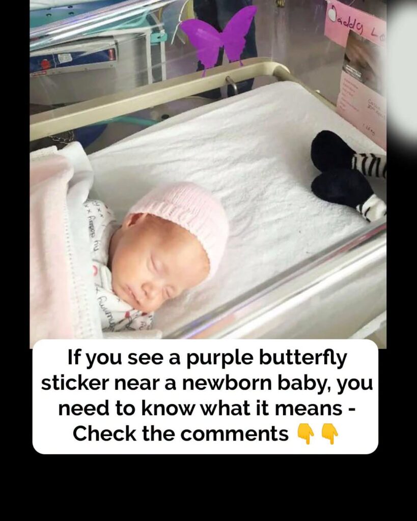 Purple butterfly sticker near newborns – here’s what it means