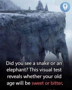 THE FIRST ANIMAL YOU SEE COULD REVEAL A SHOCKING TRUTH ABOUT HOW YOU THINK