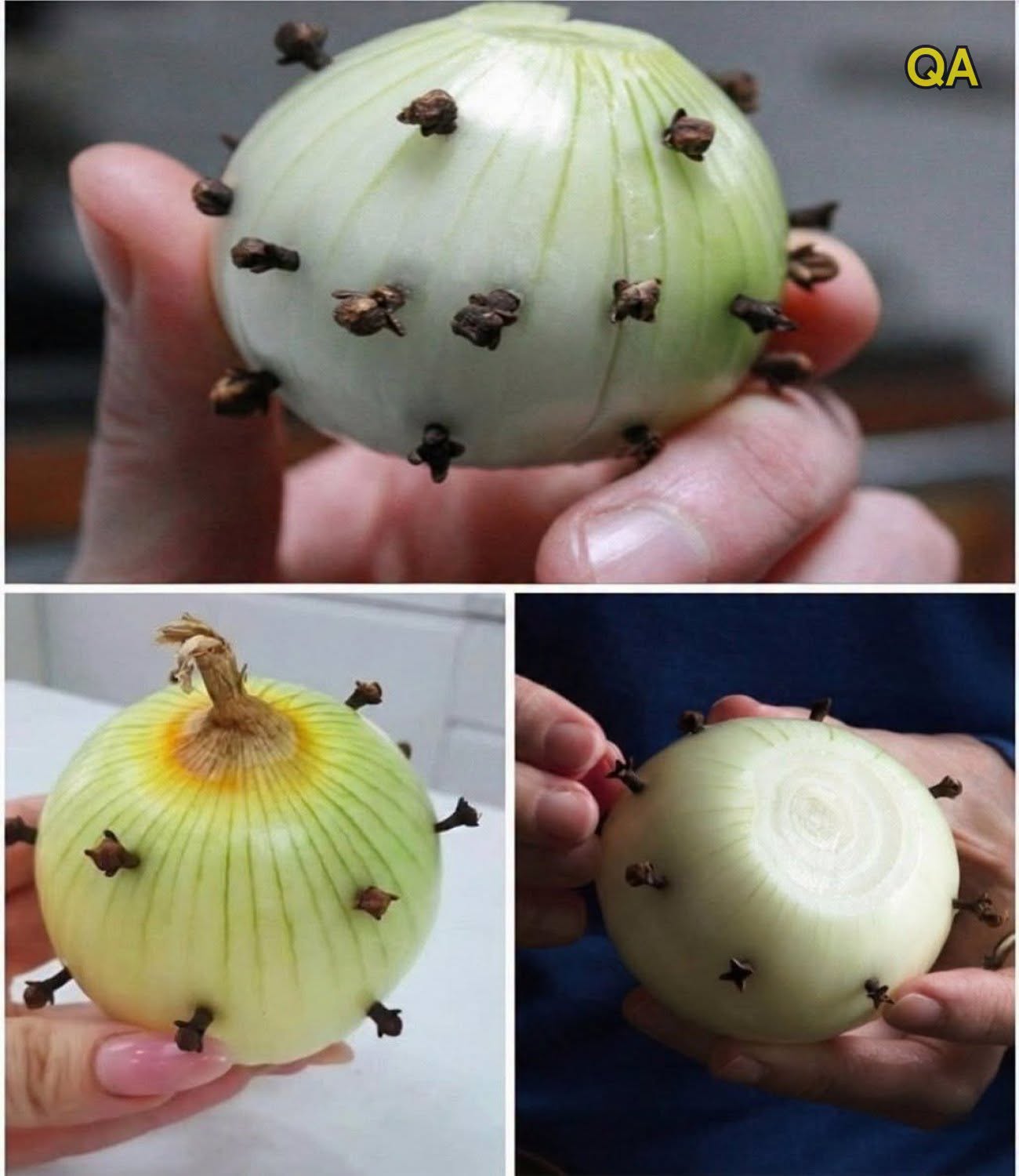 Why People Stick Cloves Into an Onion: The Traditional Kitchen Trick That Still Works Today