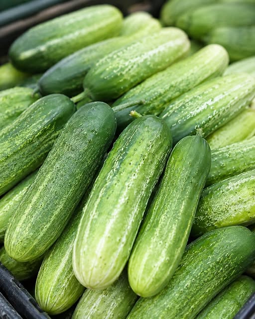 Doctors Reveal What Really Happens to Your Body When You Eat Cucumber