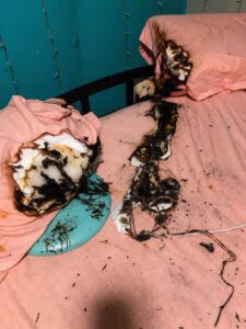Firefighters Warn People About The Dangers Of Sleeping With A Charging Phone