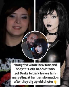 Fans dig up photos of Drake’s date before ‘goth baddie’ transforms and makes rapper bark