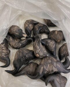 My neighbor gave me a bag of these.anyone know what they are? How do you eat them?