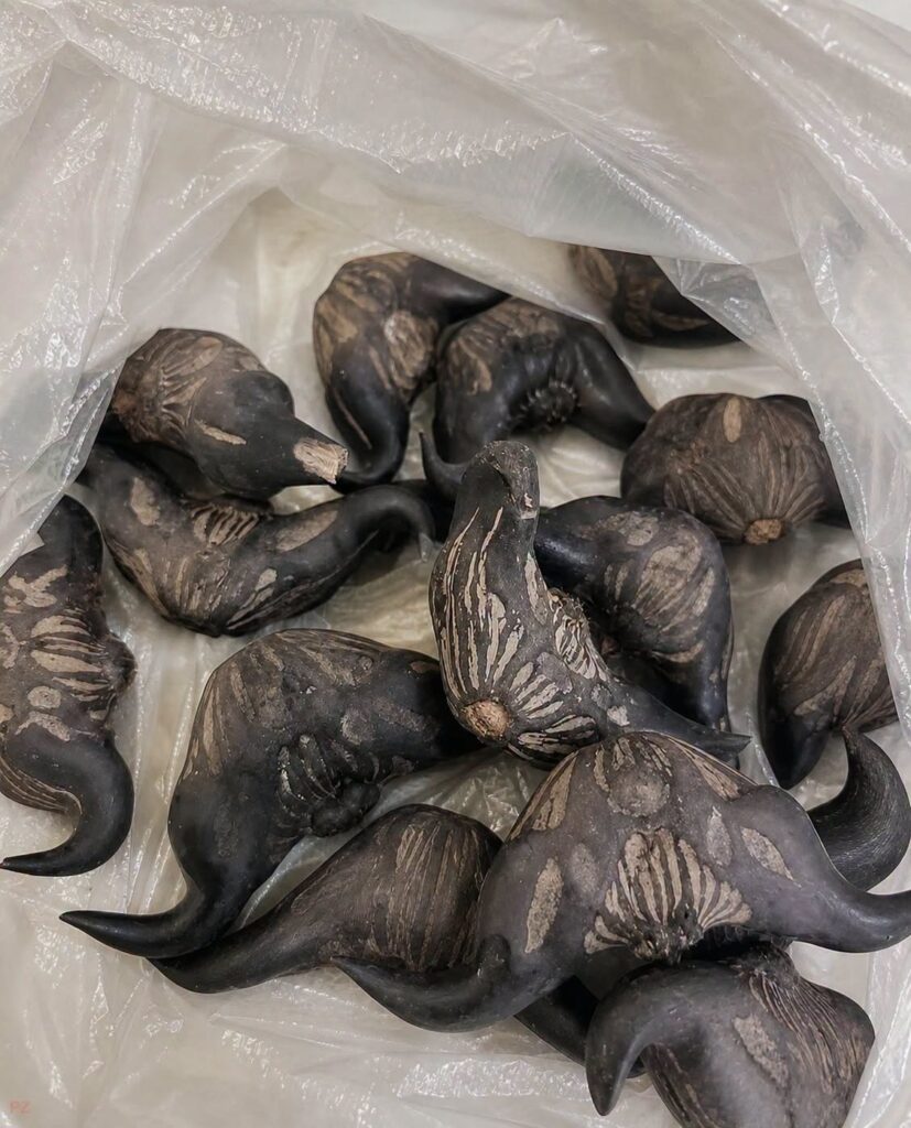 My neighbor gave me a bag of these.anyone know what they are? How do you eat them?