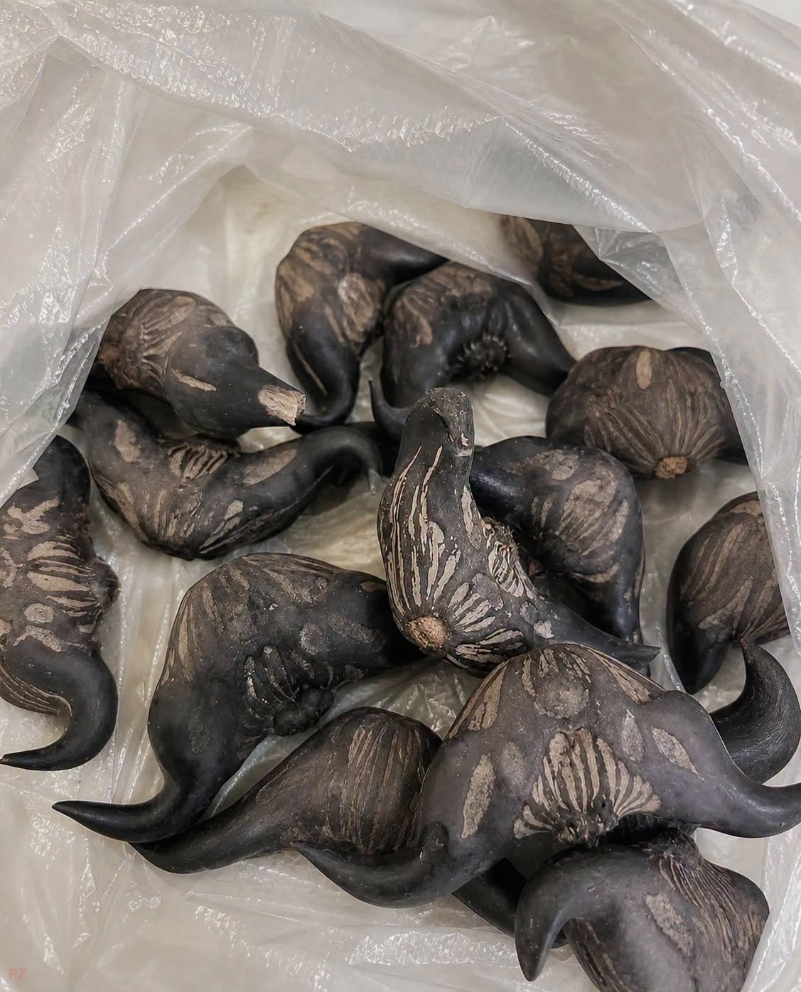 My neighbor gave me a bag of these.anyone know what they are? How do you eat them?