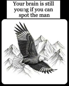 VISUAL CHALLENGE: Find the hidden man.