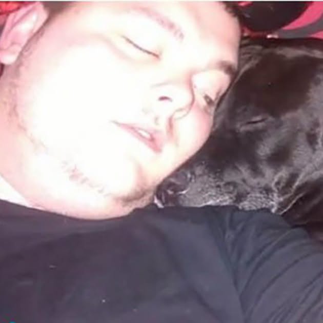 Geo the dog sensed something was wrong and saved a life