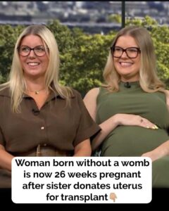 Woman born without womb pregnant with first child after womb transplant