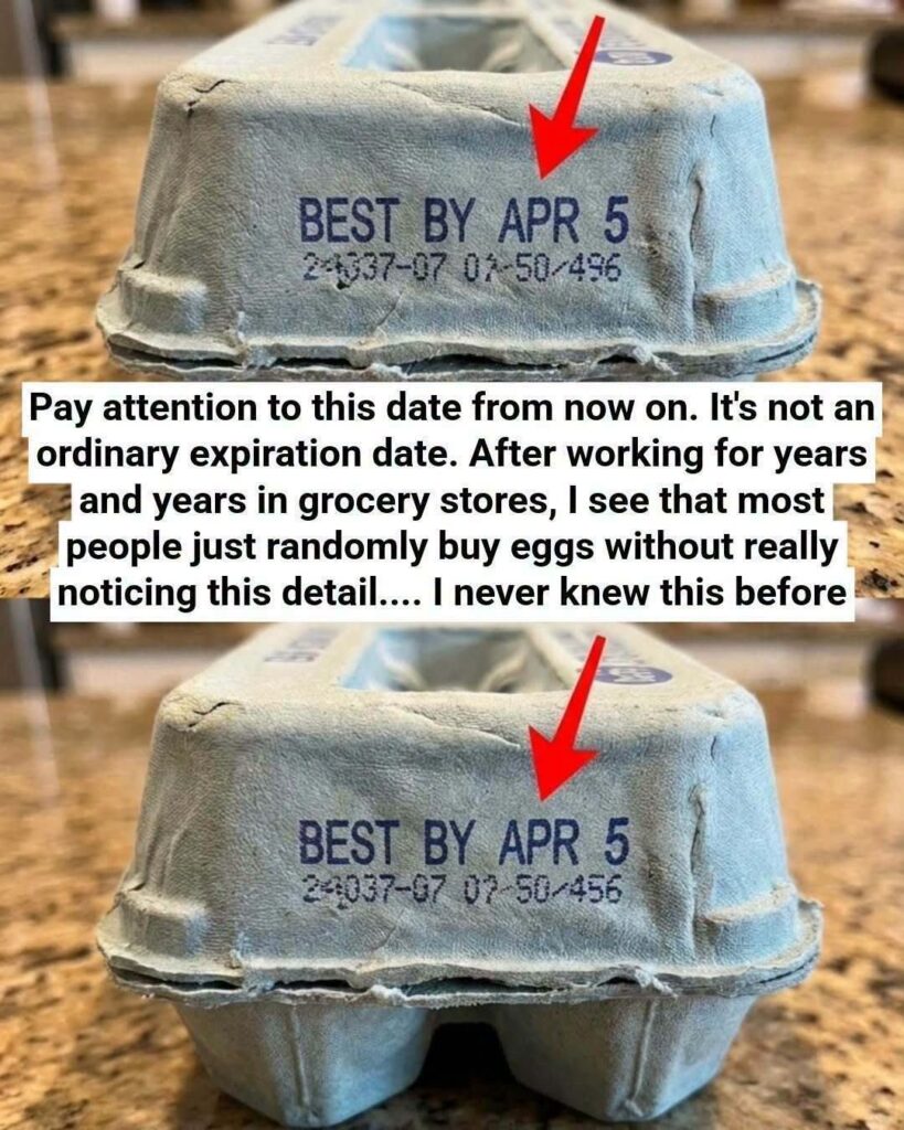 A Gentle, Science-Backed Guide to Egg Carton Codes