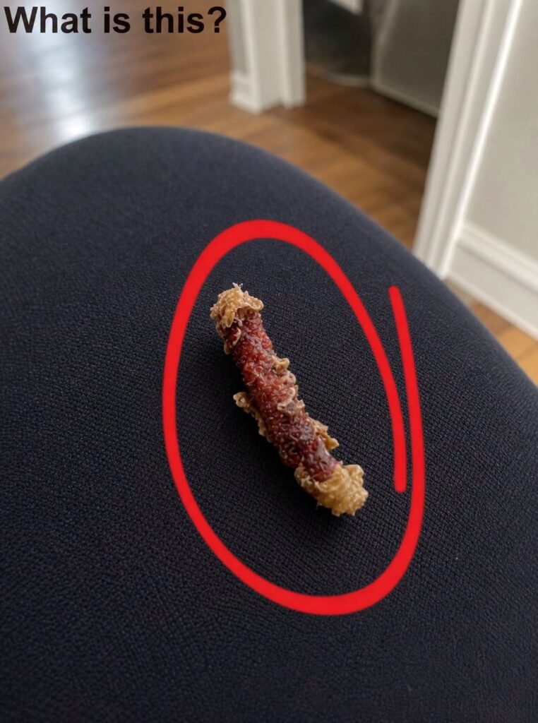 I Woke Up in the Middle of the Night Convinced Something Was Biting My Skin, Only to Discover a Terrifyingly Real Sensation That Sent Me Into Panic
