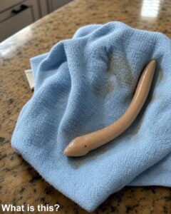 This evening, I went into my girlfriend’s bathroom and found this on the floor.