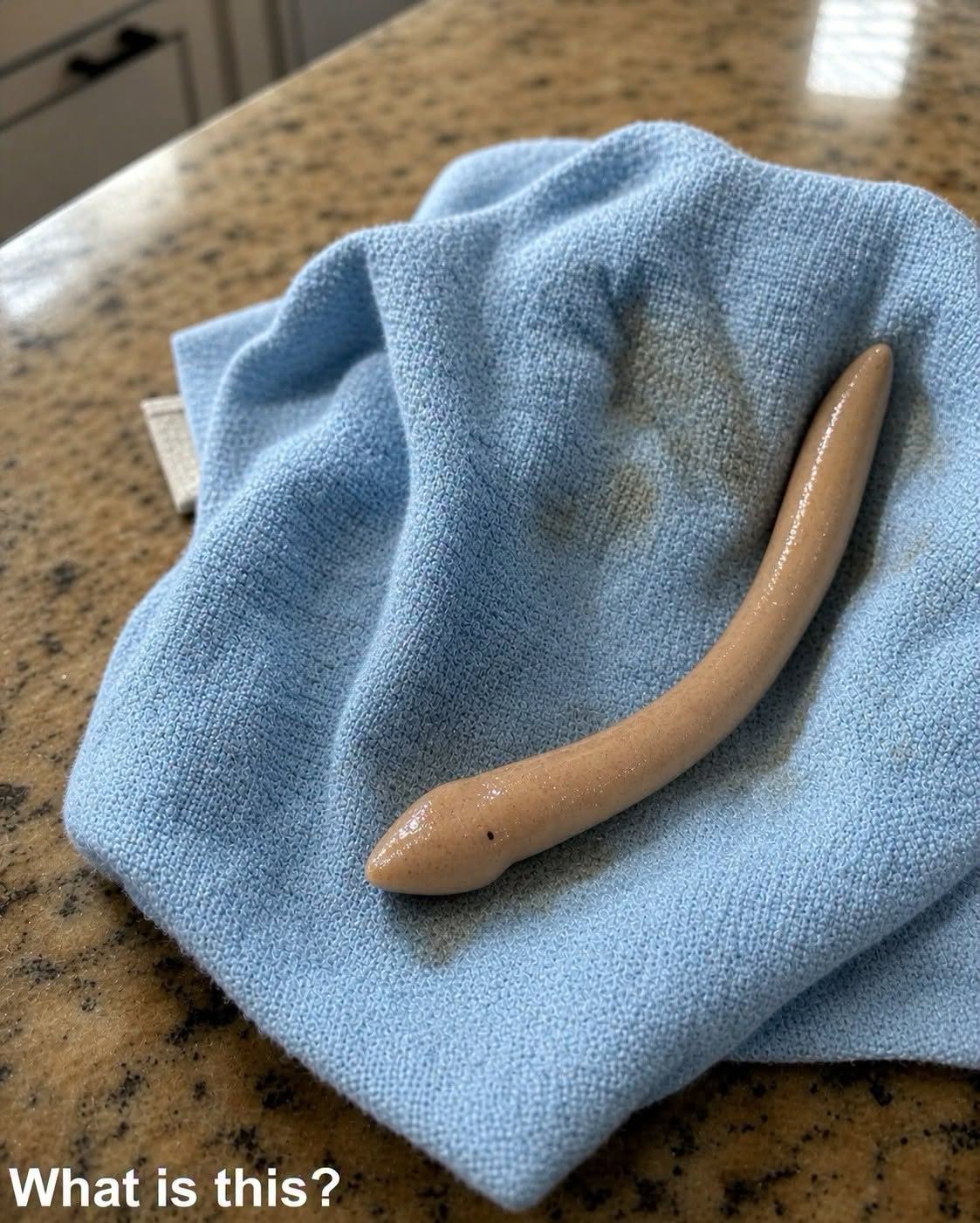 This evening, I went into my girlfriend’s bathroom and found this on the floor.