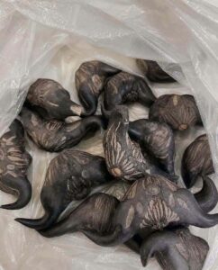 My Neighbor Gave Me These Strange Fruits – Does Anyone Know What They Are?