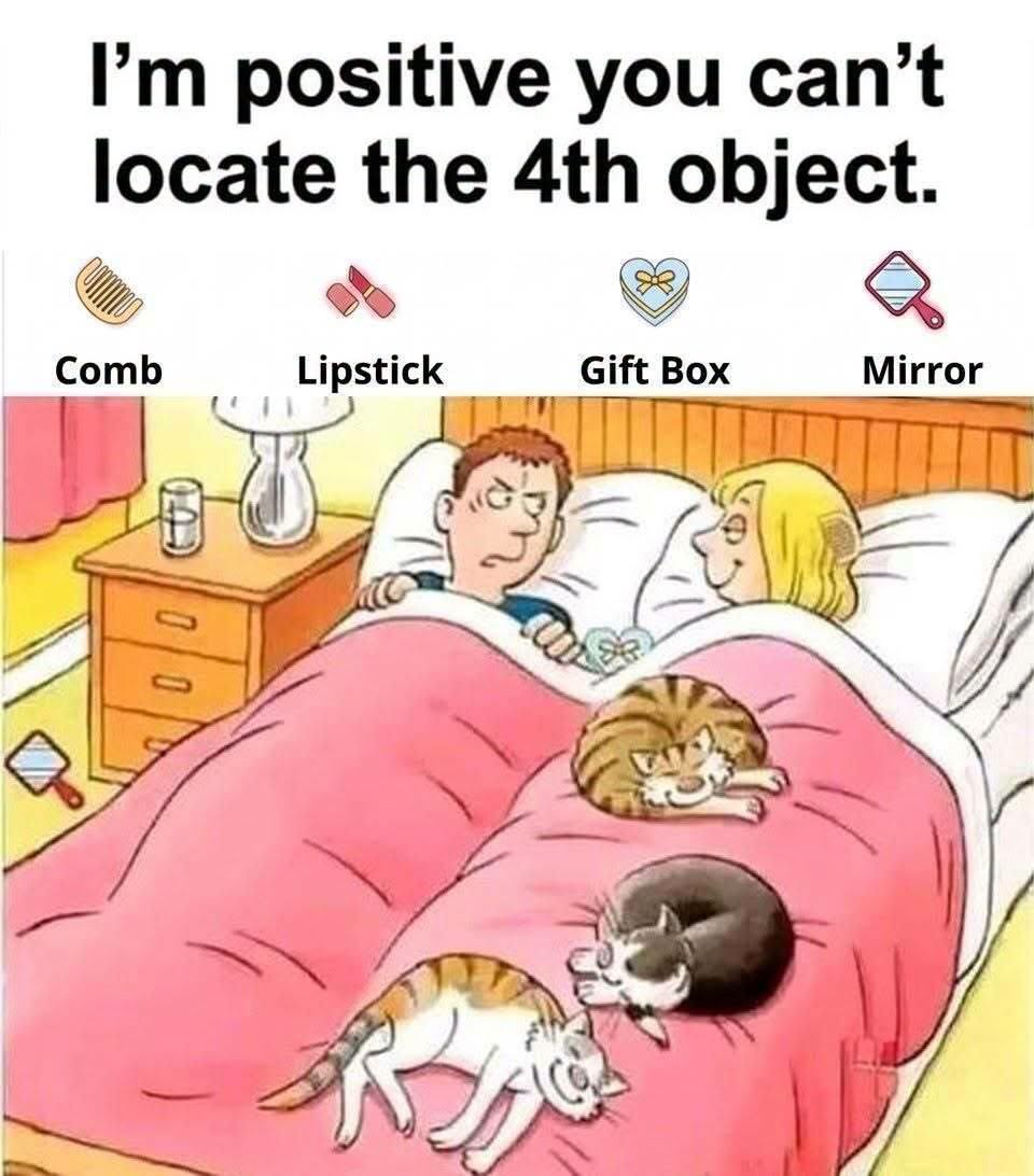 Can You Spot the 4 Secret Objects Hidden in This Bed?