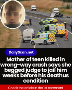 Mother of teen killed in wrong-way crash says she begged judge to jail him weeks before his death