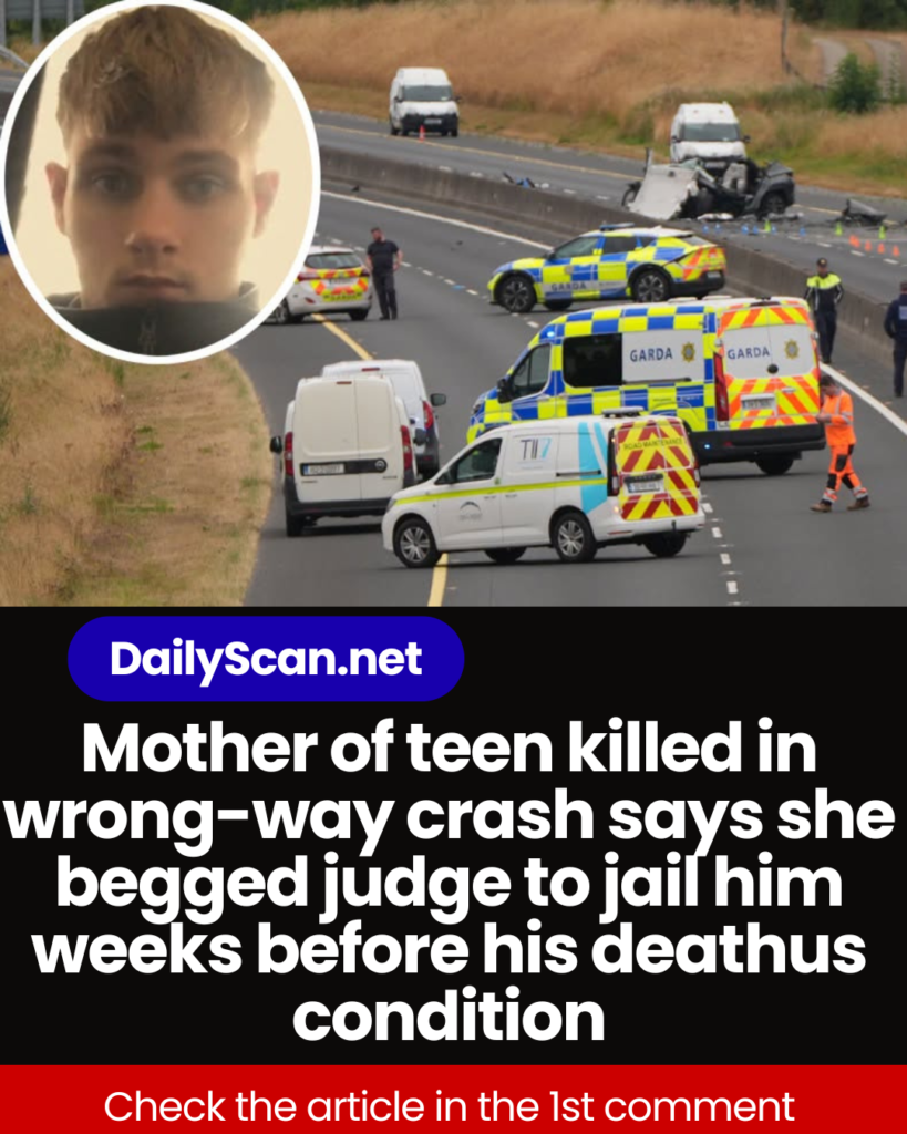 Mother of teen killed in wrong-way crash says she begged judge to jail him weeks before his death