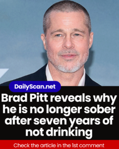 Brad Pitt reveals why he is no longer sober after seven years of not drinking