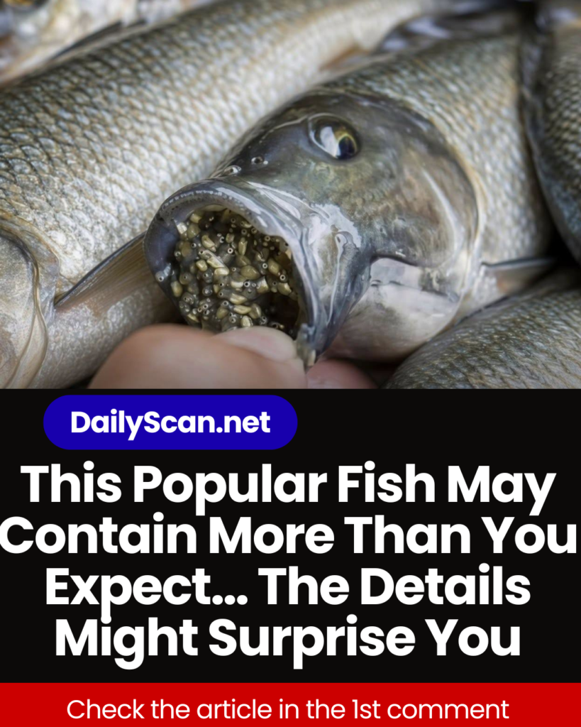 This Popular Fish May Contain More Than You Expect… The Details Might Surprise You