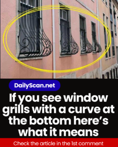 If you see window grills with a curve at the bottom here’s what it means