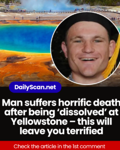 Man suffers horrific death after being ‘dissolved’ at Yellowstone – this will leave you terrified