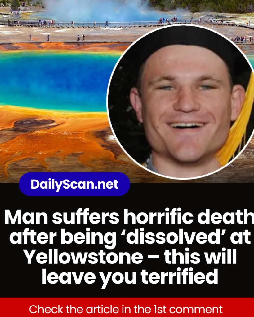 Man suffers horrific death after being ‘dissolved’ at Yellowstone – this will leave you terrified