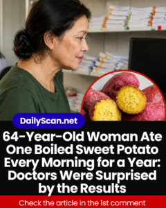 64-Year-Old Woman Ate One Boiled Sweet Potato Every Morning for a Year: Doctors Were Surprised by the Results