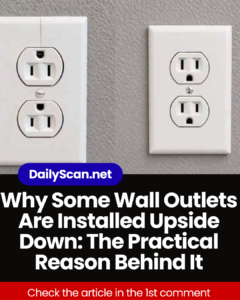Why Some Wall Outlets Are Installed Upside Down: The Practical Reason Behind It