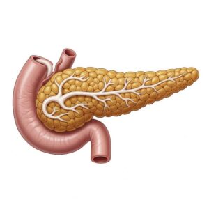 12 Signs of Pancreatic Can.cer You Should Never Ignore