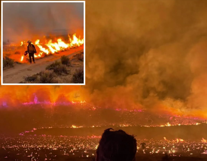 Two massive wildfires converge to rip across California and Nevada as homes razed and evacuations ordered