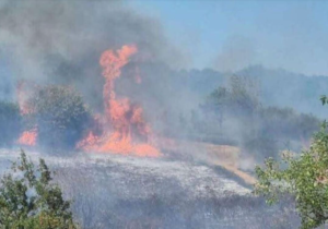 Exeter fire LIVE: Huge blaze erupts in Beacon Heath as 20 fire engines scrambled to scene