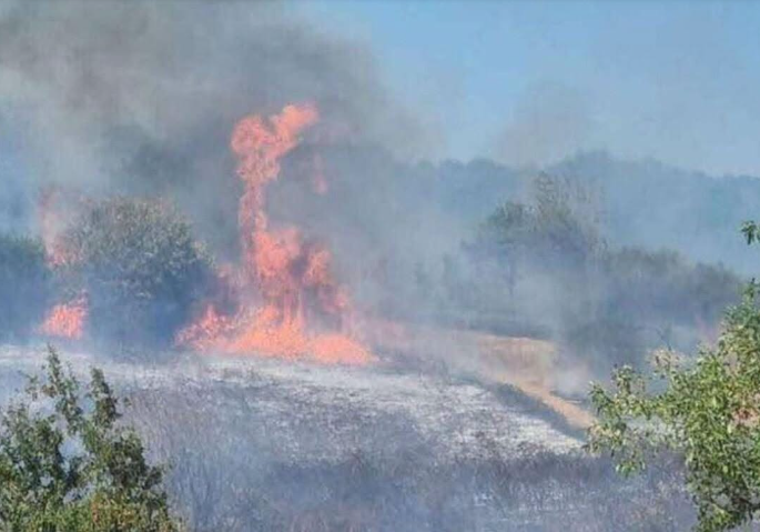 Exeter fire LIVE: Huge blaze erupts in Beacon Heath as 20 fire engines scrambled to scene