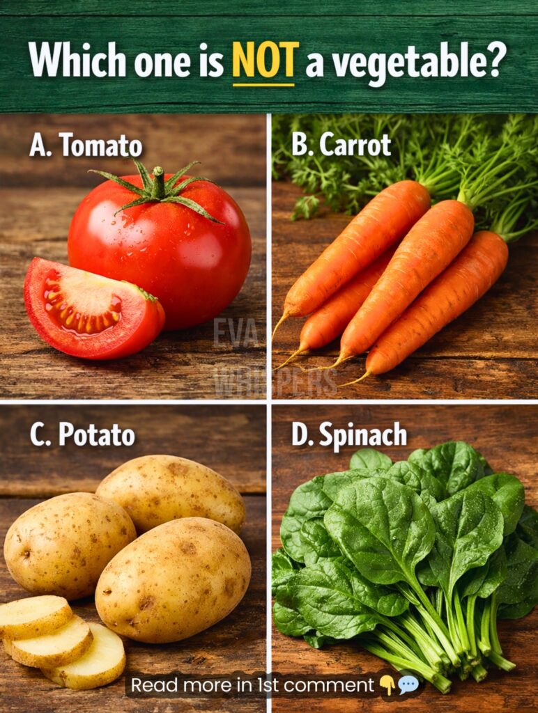 Are You Able to Solve This Tricky Question?