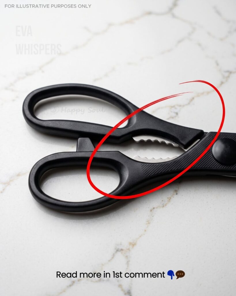 What That Toothed Part Between Kitchen Scissor Handles Is Really For