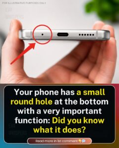 What That Tiny Hole at the Bottom of Your Phone Really Does