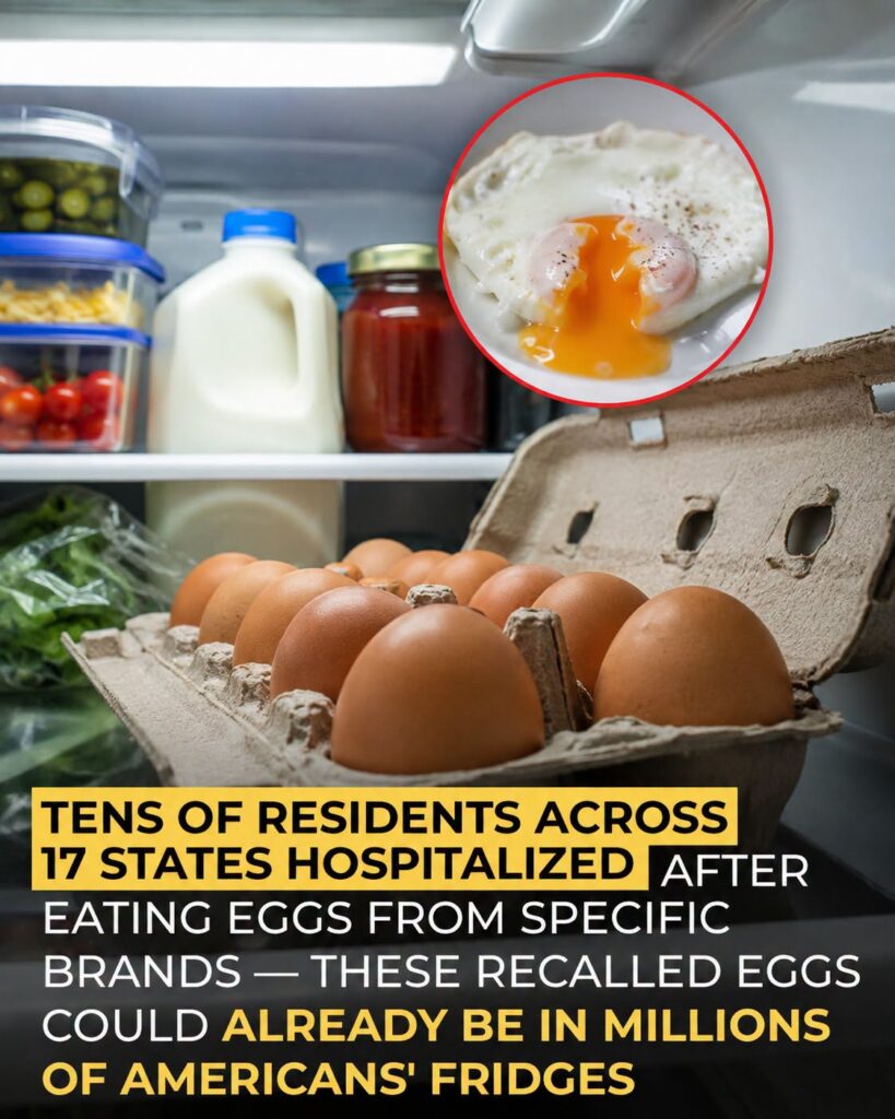 From Farm to Fear: The Salmonella Outbreak Sweeping the Grocer’s Aisle