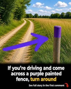 If You Ever See a Fence Painted Purple, There May Be a Reason Behind It