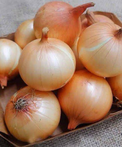 Evidence Based Benefits of Onions Including Nutrition Facts