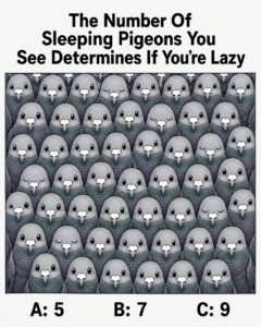 Count the Pigeons Carefully — Then Look Again and See What You Notice
