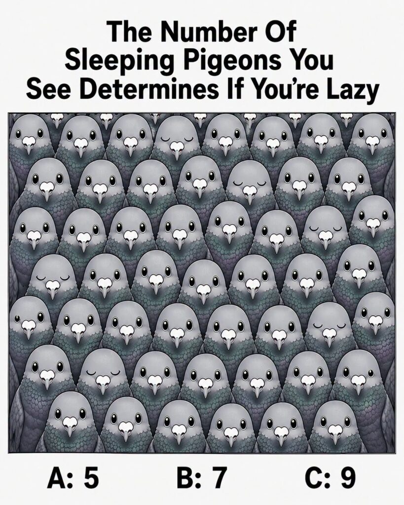 Count the Pigeons Carefully — Then Look Again and See What You Notice