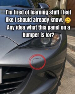 Here’s What The Small Panel On Your Car’s Front Bumper Is For