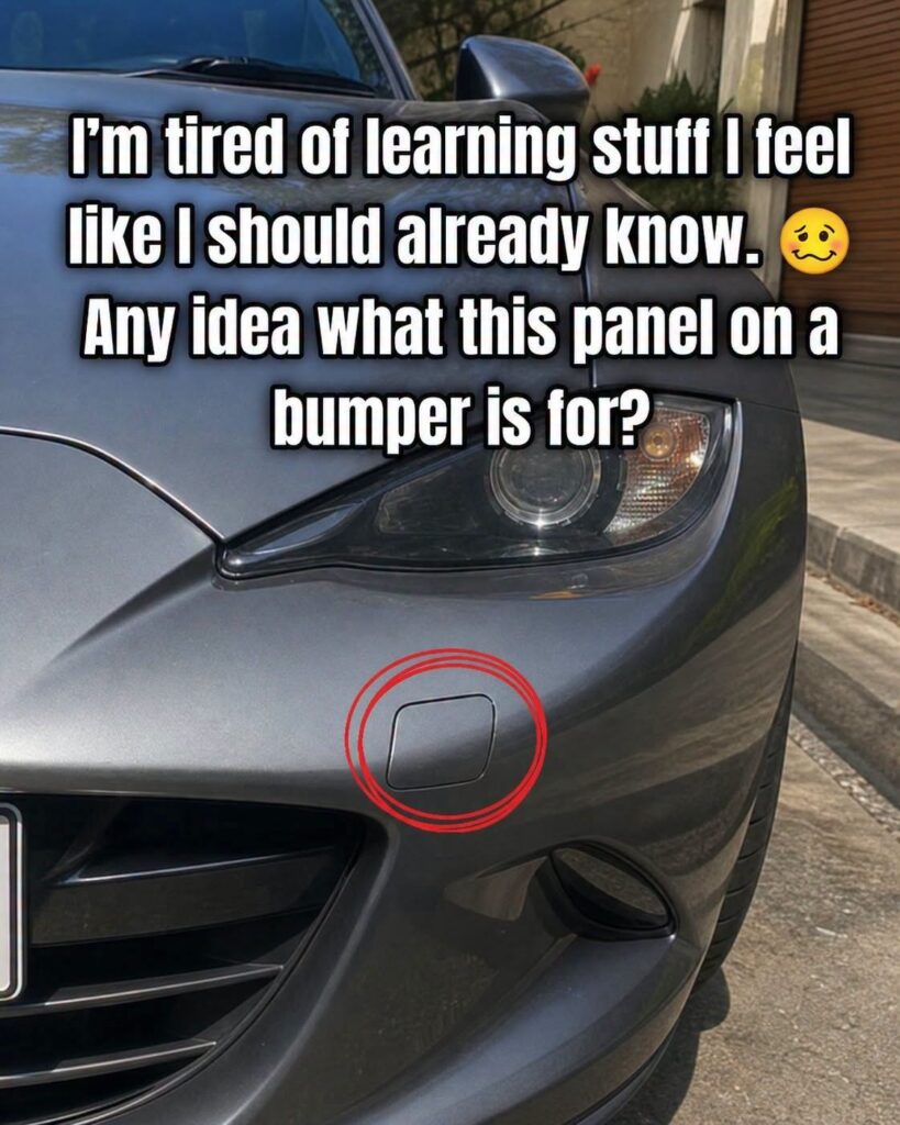 Here’s What The Small Panel On Your Car’s Front Bumper Is For