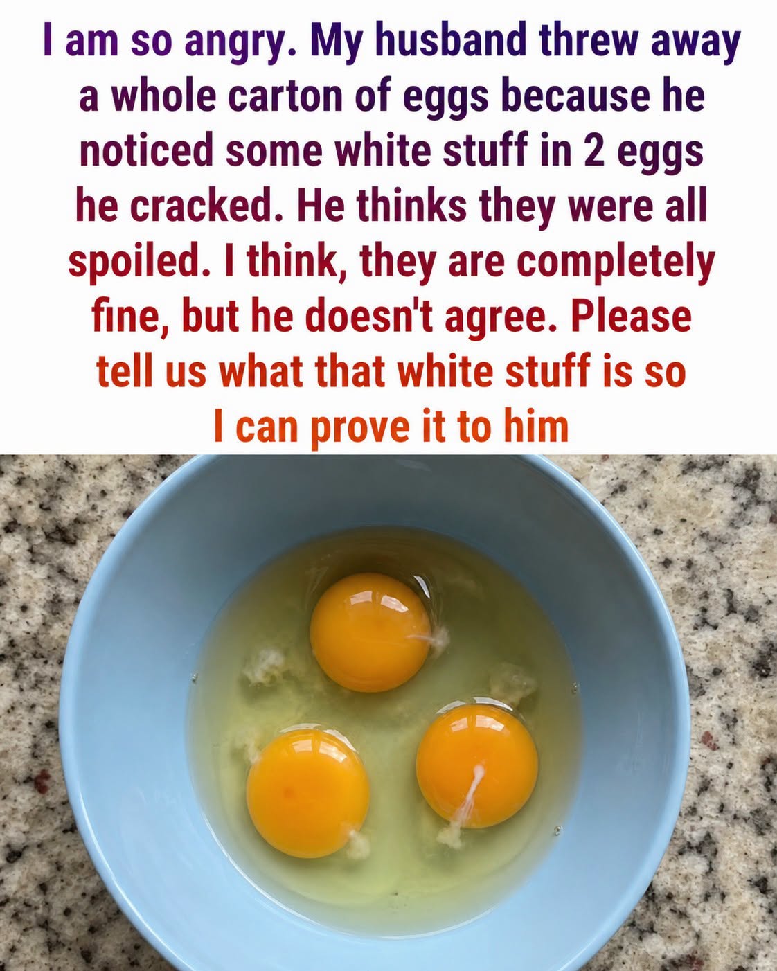 What exactly is the white part of an egg?