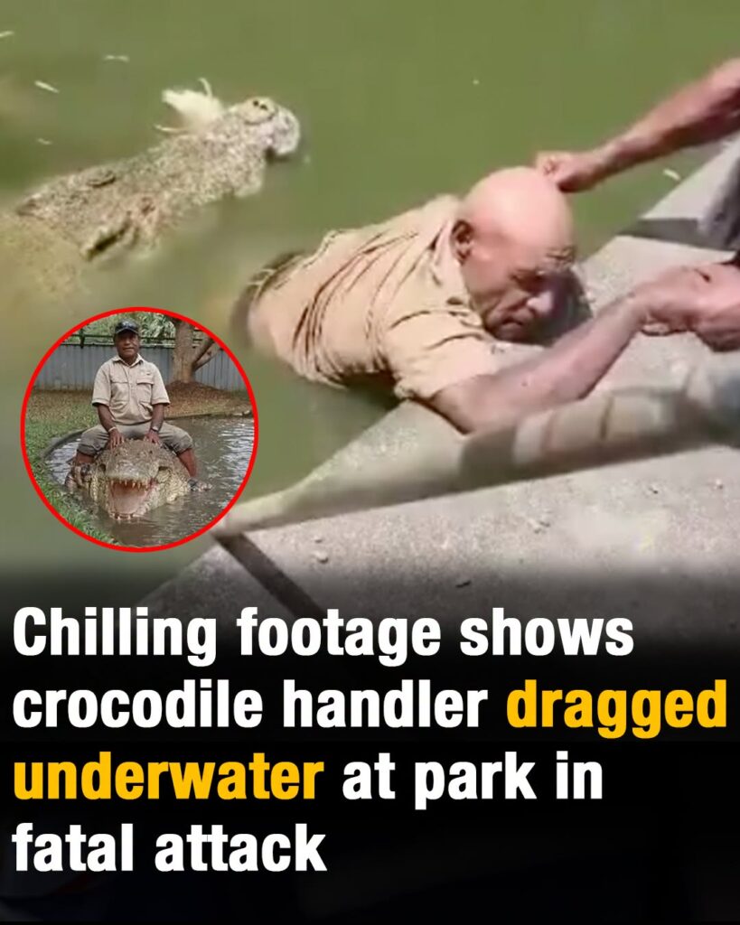 Chilling footage shows crocodile handler dragged underwater at park in fatal attack
