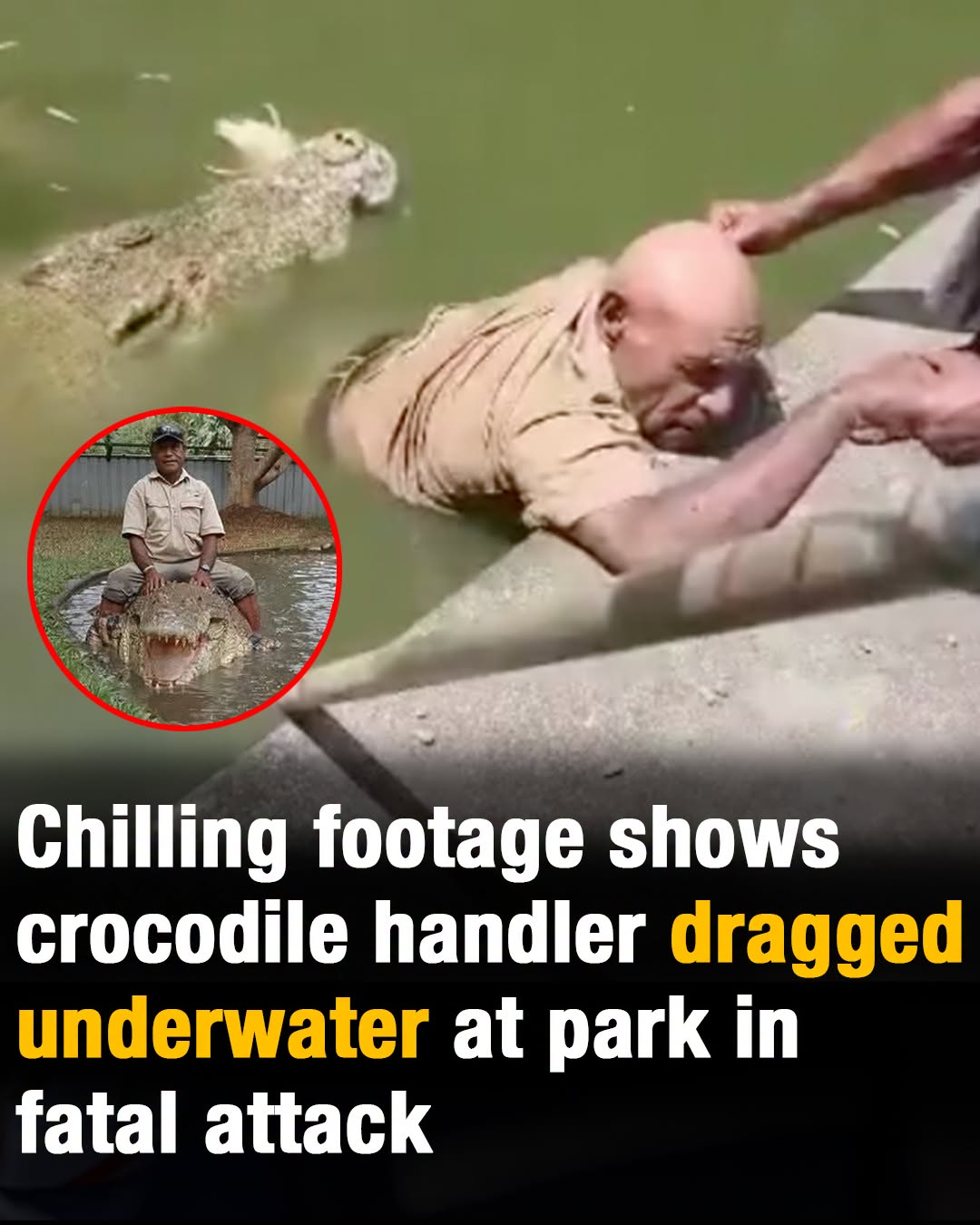 Chilling footage shows crocodile handler dragged underwater at park in fatal attack
