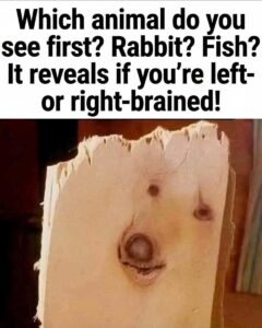 Which animal do you see first? Rabbit? Fish?