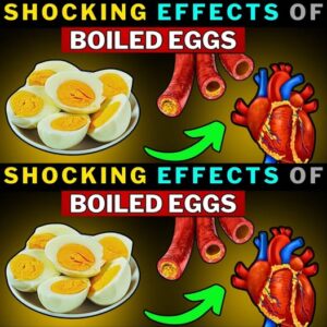 Eating Boiled Eggs Daily? Here’s What Happens to Your Body
